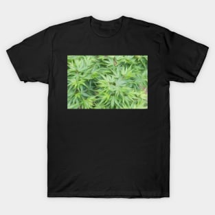 Acer palmatum oil painting effect T-Shirt